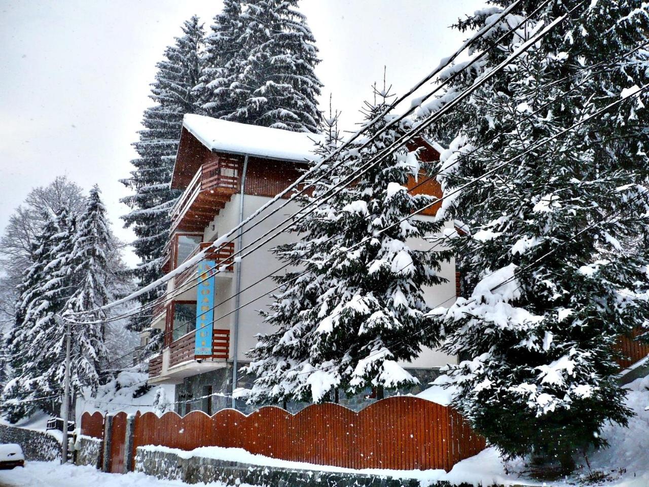 Pension Casa Soarelui Sinaia Exterior foto